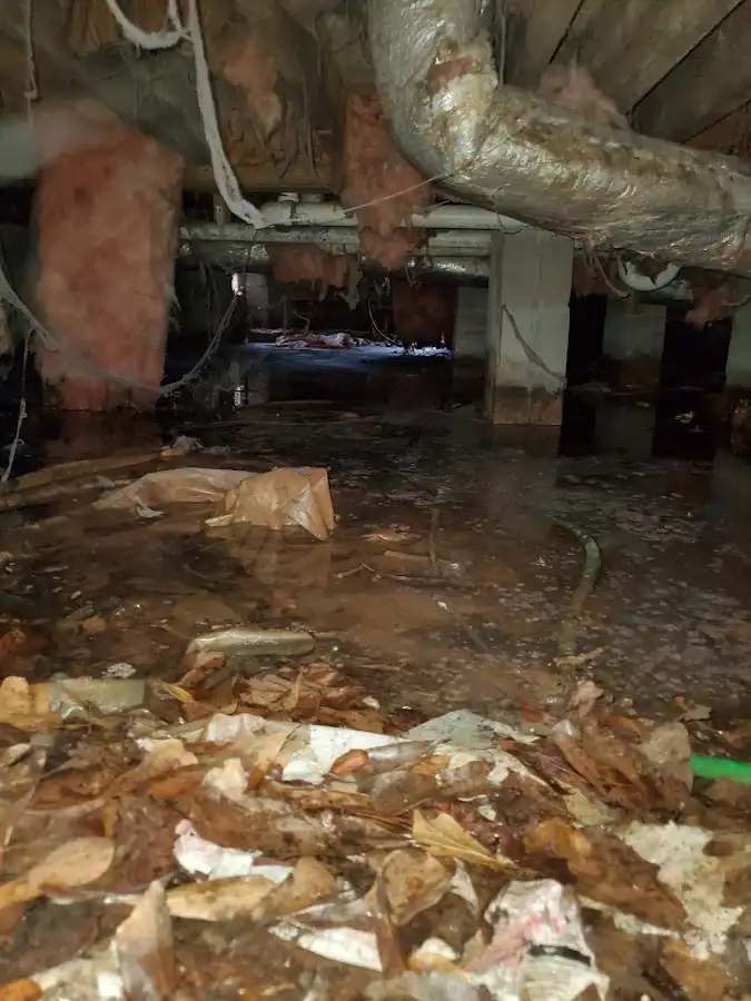 Crawl space flood assessment for Leak Detection & Repair in Greenwood